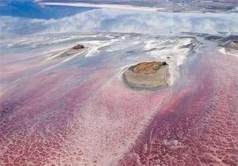 Ho ky la va dang so nhat tren the gioi, duoc goi la 'Ho hoa da'-Hinh-9