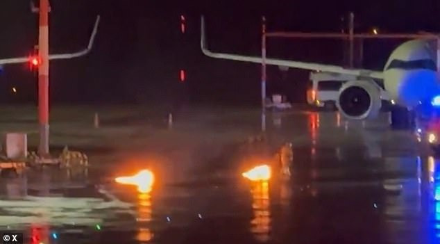 San bay Hamburg tam dong cua vi bat coc con tin-Hinh-2