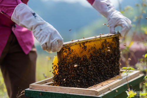 Nhung khoanh khac an tuong tren 2023-Hinh-34