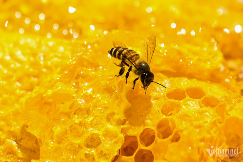 Nhung khoanh khac an tuong tren 2023-Hinh-33