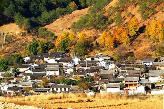 Vuot len ton thuong, co gai so huu khoi tai san khong lo-Hinh-2