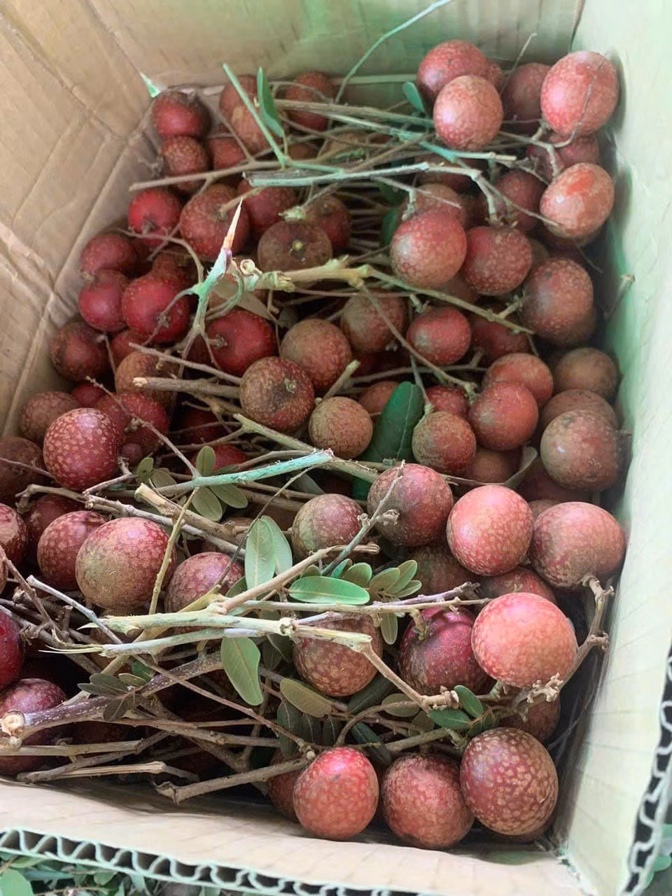 'Loc troi cho' gia tung cao chot vot, nhan tim nay thanh hang binh dan-Hinh-2