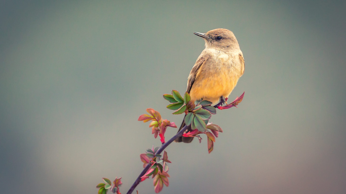 Ai sinh ngay Am lich nay su nghiep khoi sac tu nay-Hinh-2
