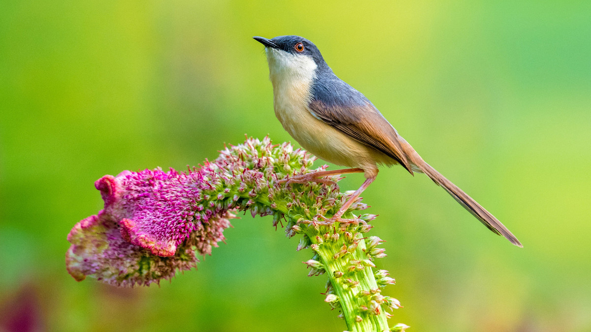 Ai sinh ngay Am lich nay su nghiep khoi sac tu nay