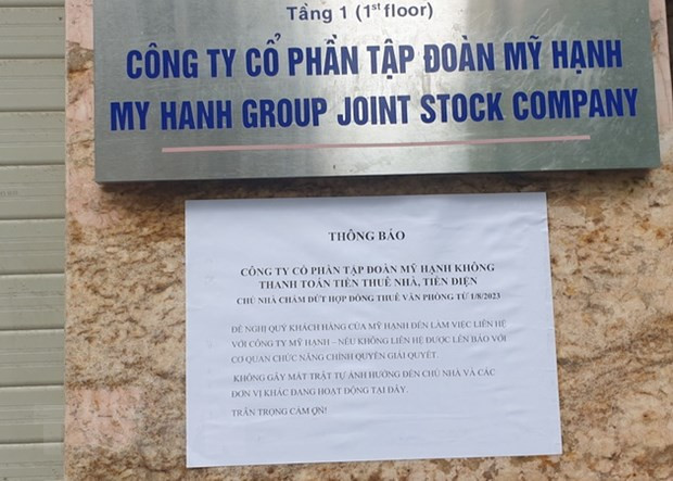 Tập đoàn Mỹ Hạnh vẽ dự án sâm Ngọc Linh huy động vốn thế nào? Tap doan My Hanh ve du an sam Ngoc Linh huy dong von the nao?