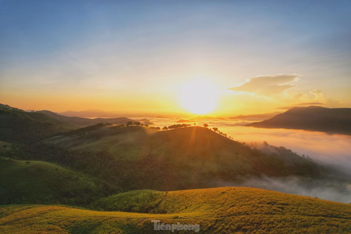 Ở Phượng Hoàng, những đồi cỏ xanh mướt trải dài, nhấp nhô theo những ngọn đồi đổi sắc theo mùa. 