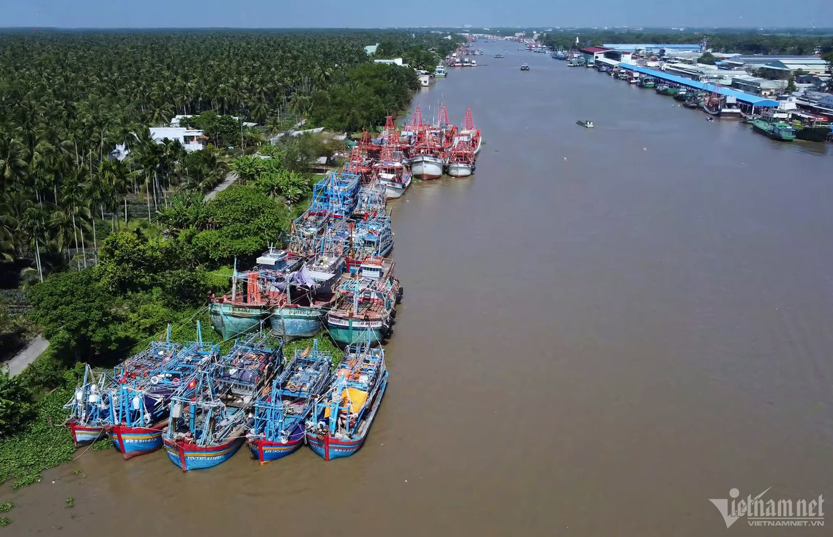 Cang bien co doi tau ca dong nhat ca nuoc-Hinh-2