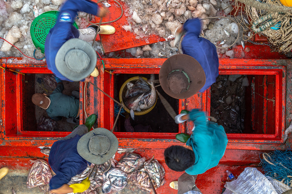 Cang bien co doi tau ca dong nhat ca nuoc-Hinh-5
