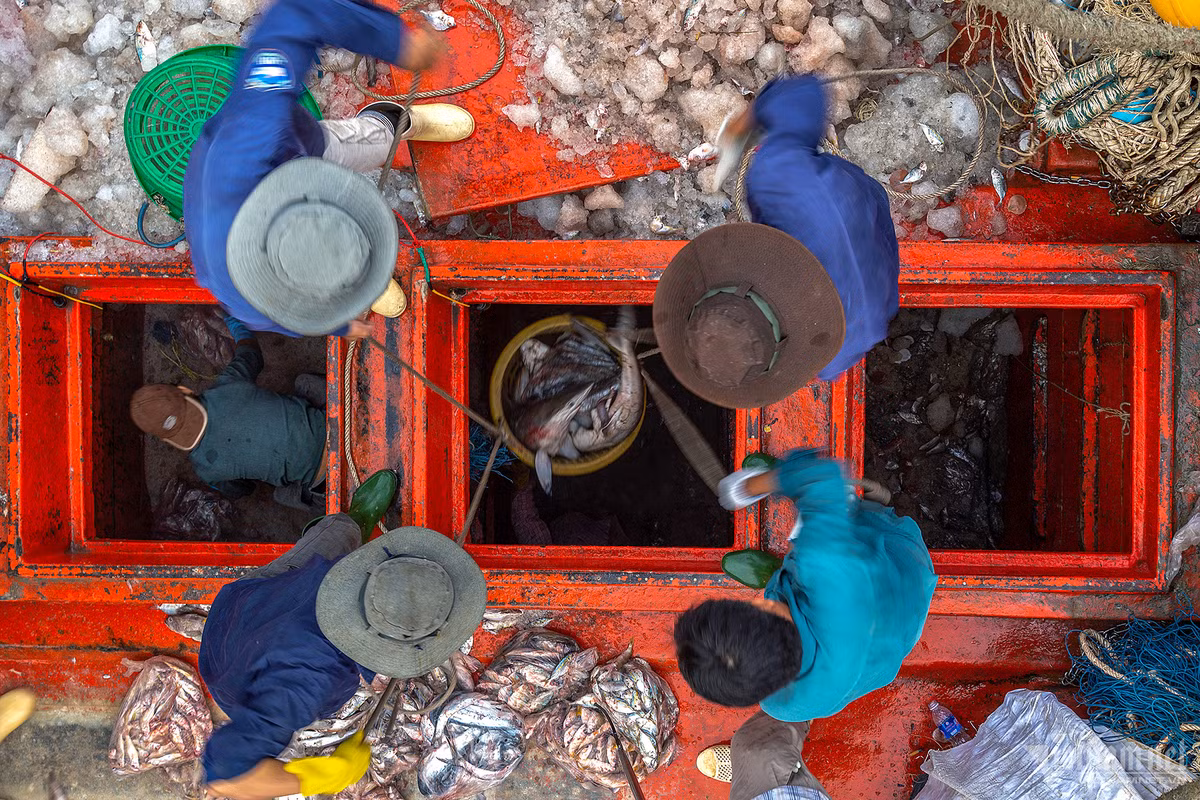 Cang bien co doi tau ca dong nhat ca nuoc-Hinh-5