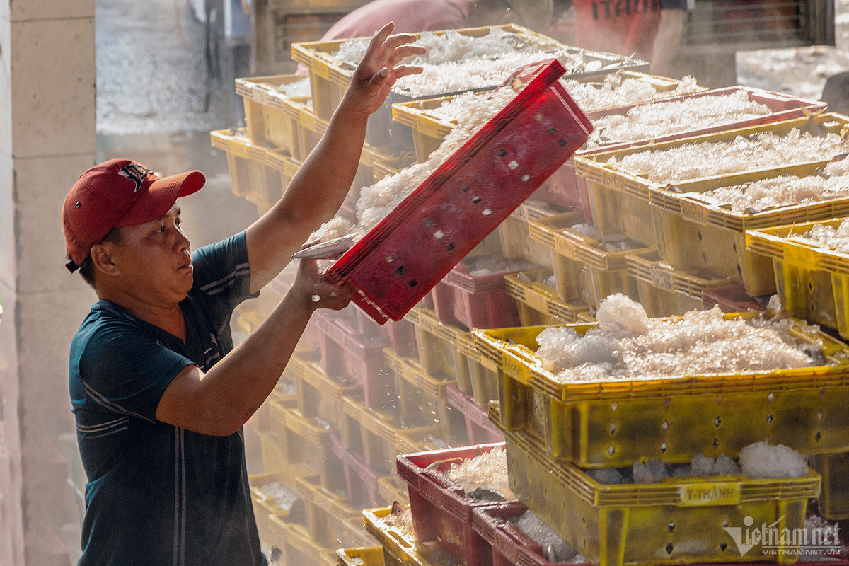 Cang bien co doi tau ca dong nhat ca nuoc-Hinh-7