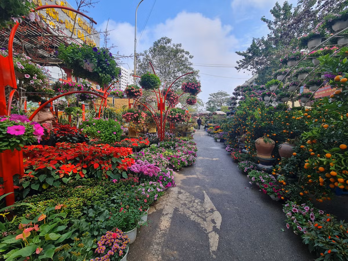 Phường Vạn Phúc, quận Hà Đông đã tổ chức chợ hoa Xuân từ đầu tháng 1/2023. Tuy giá cả có phần thấp hơn các chợ hoa tại trung tâm Hà Nội, nhưng sức mua đã không còn mạnh như năm trước.