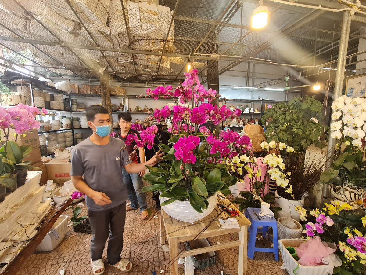 Năm nay, lượng lan hồ điệp được các doanh nghiệp mua để làm quà có phần gia tăng hơn so với năm ngoái. Các chậu hoa, ngoài sử dụng chất liệu gốm, nhựa, năm nay khá nhiều hàng hoa, cây cảnh sử dụng chất liệu gỗ lũa, thiên về tự nhiên.