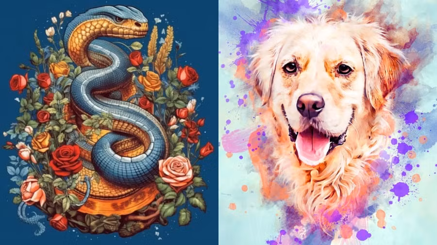 Sau Ram thang 9 am lich: 3 con giap van trinh ruc do