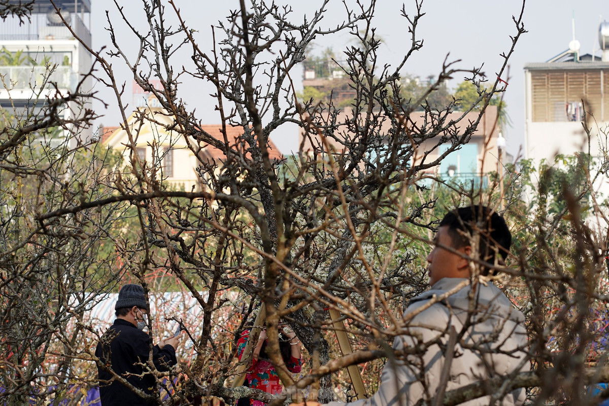 Nguoi Ha Noi chi bac trieu cho thu choi hoa le sau Tet