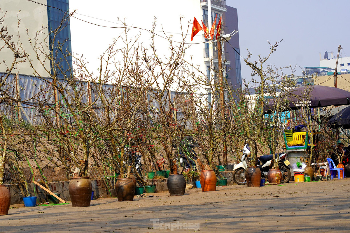 Nguoi Ha Noi chi bac trieu cho thu choi hoa le sau Tet-Hinh-8