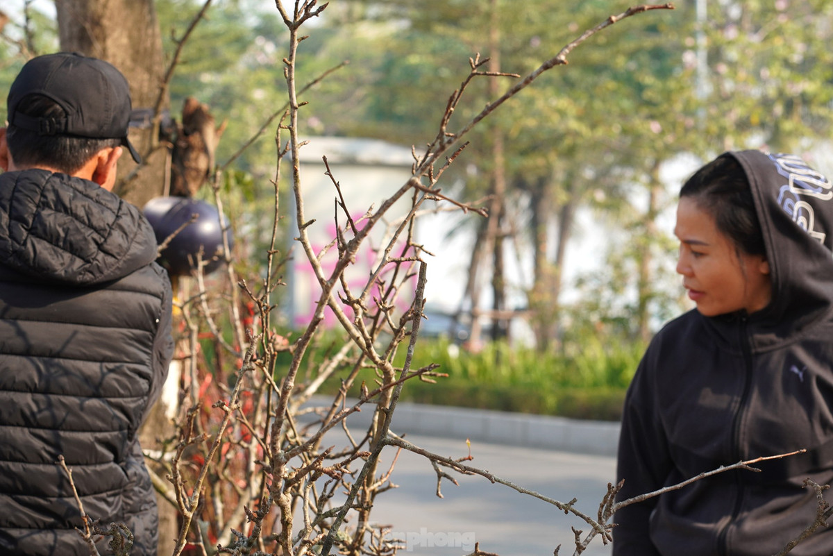 Nguoi Ha Noi chi bac trieu cho thu choi hoa le sau Tet-Hinh-5