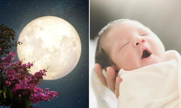 Trai mung 1 gai hom ram kho nuoi, vay gai mung 1 trai ngay ram thi sao?-Hinh-2