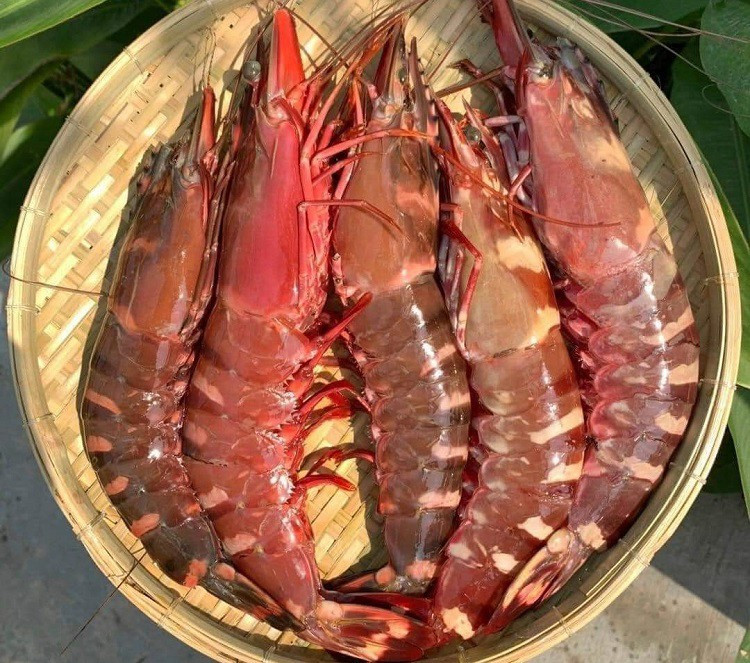 Bat ngo tom su “khong lo” tu bien ve dat lien co gia 10 trieu dong/con-Hinh-5