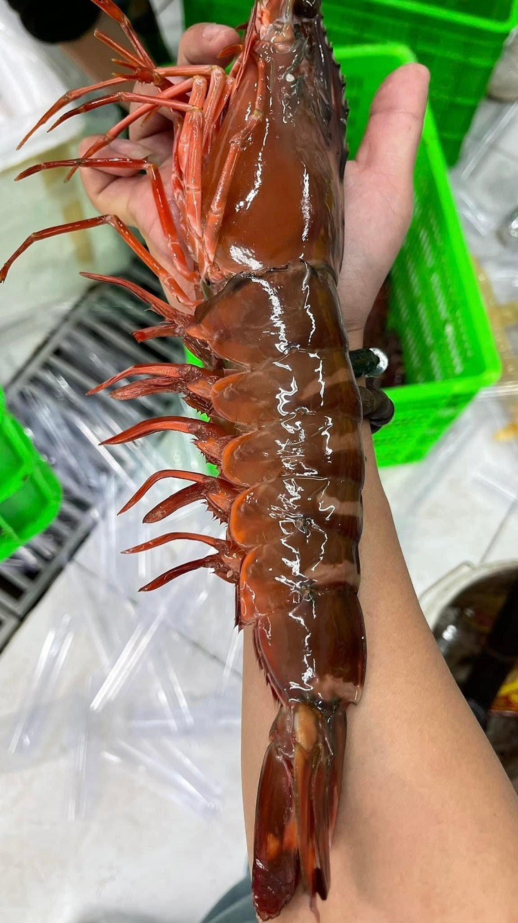 Bat ngo tom su “khong lo” tu bien ve dat lien co gia 10 trieu dong/con-Hinh-4