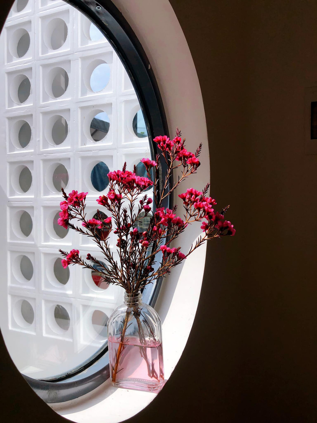 Vo chong tre roi Sai Gon ve Da Lat dung ngoi nha uoc mo-Hinh-11