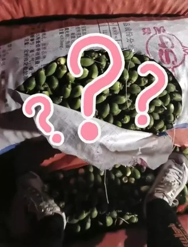 Qua Viet Nam chang ai an, sang Trung Quoc thanh mon keo yeu thich