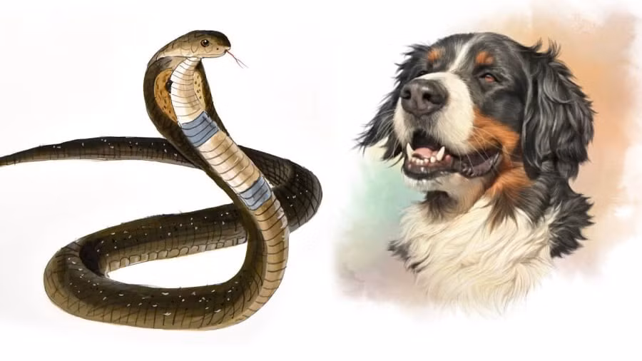 Sau Trung thu 2023, 4 tuoi nay tien vao nhu nuoc