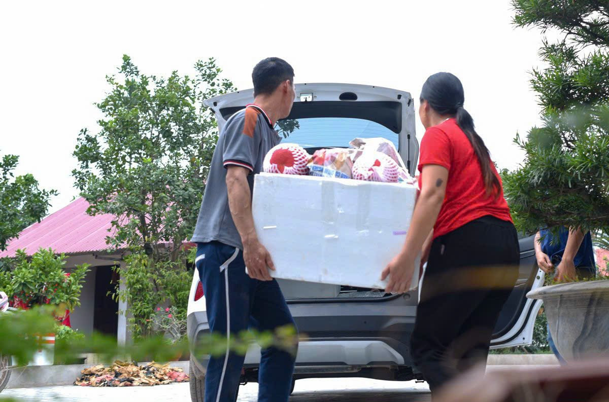 Bưởi đỏ được đóng hàng để chuẩn bị tiêu thụ ra thị trường. 