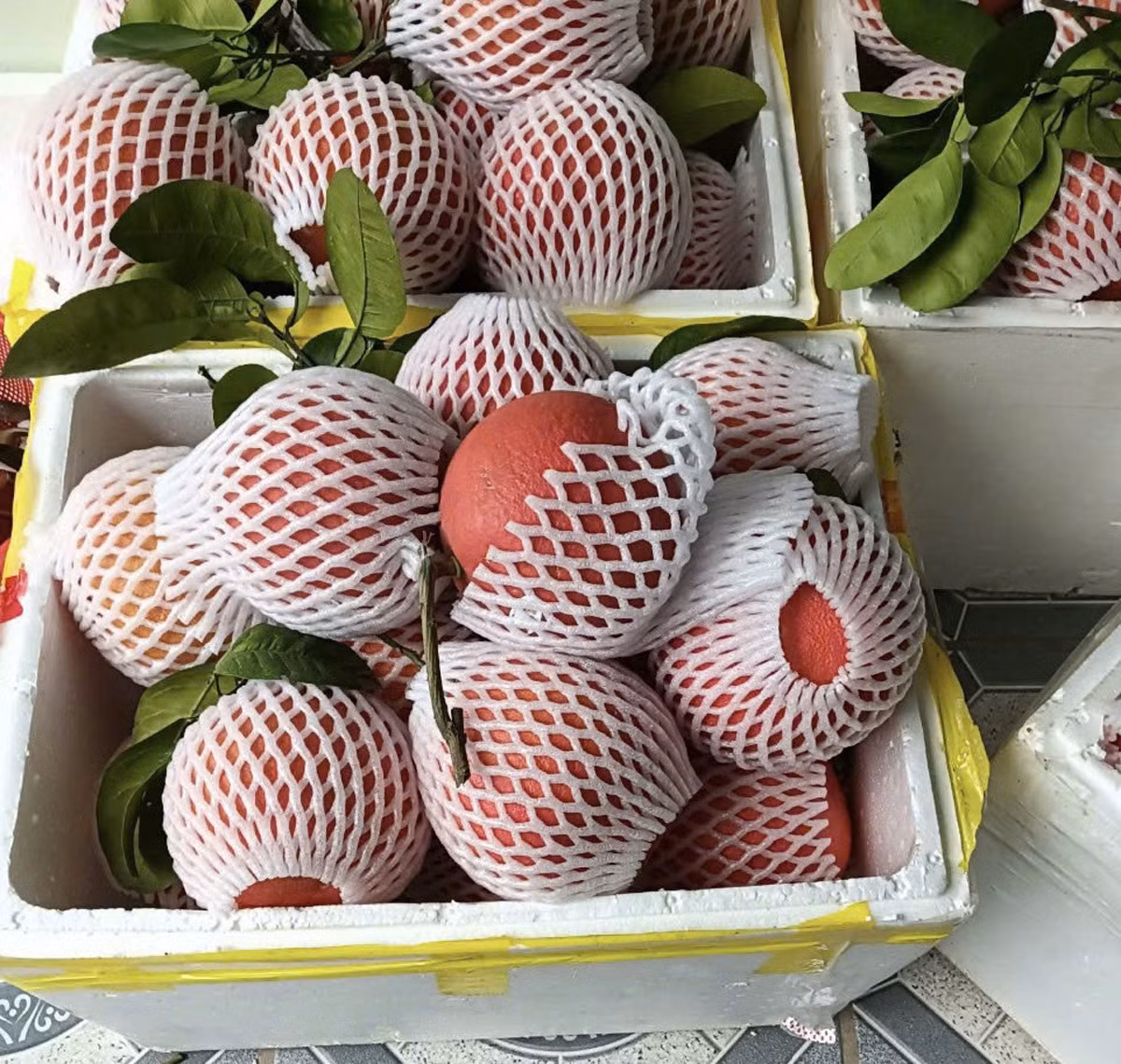 Bưởi đỏ Đông Cao được tiêu thụ ở khắp các tỉnh thành từ miền Bắc đến miền Trung - Tây Nguyên và cả miền Nam. 