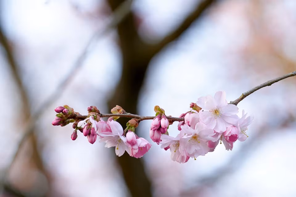 Ai sinh vao 5 ngay Am lich nay, phuc loc huong du day-Hinh-3