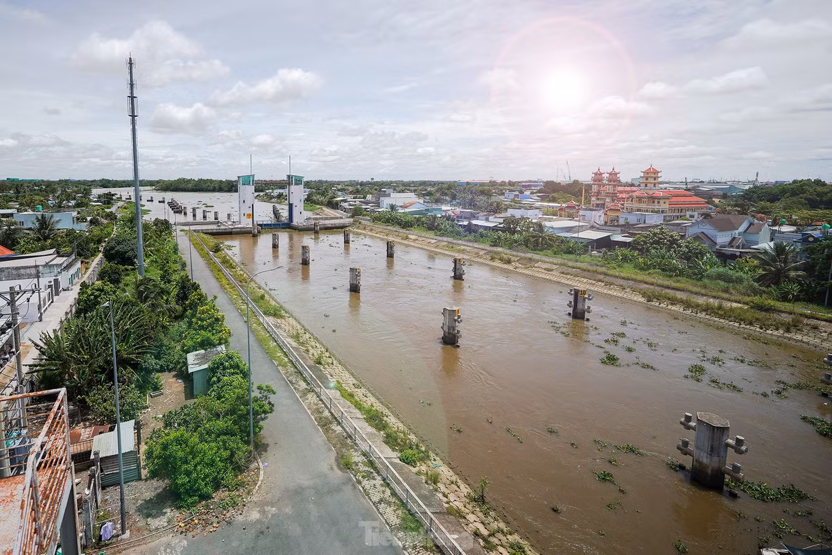 Âu tàu này còn có vai trò đặc biệt quan trọng trong việc xả lũ vào mùa mưa, ngăn mặn trong mùa khô, điều tiết nước ngọt cho vùng Đồng Tháp Mười. Có hai tuyến đường thủy từ các tỉnh miền Tây đi TPHCM là tuyến số 1 (qua kênh Chợ Gạo, Tiền Giang) và tuyến số 2 (qua cống Rạch Chanh, TP Tân An).