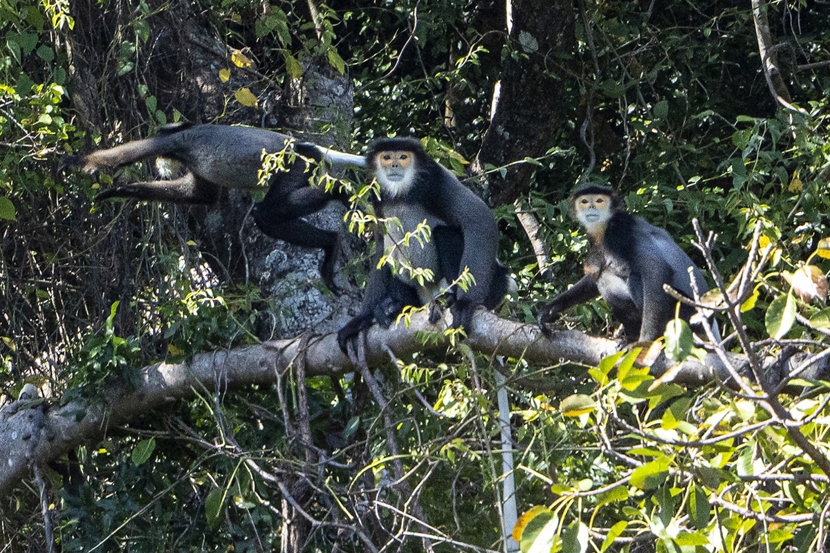 Nhung sac mau Ninh Thuan-Hinh-5