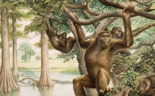 Thoi co dai, co mot loai vat an thit to tien cua chung ta