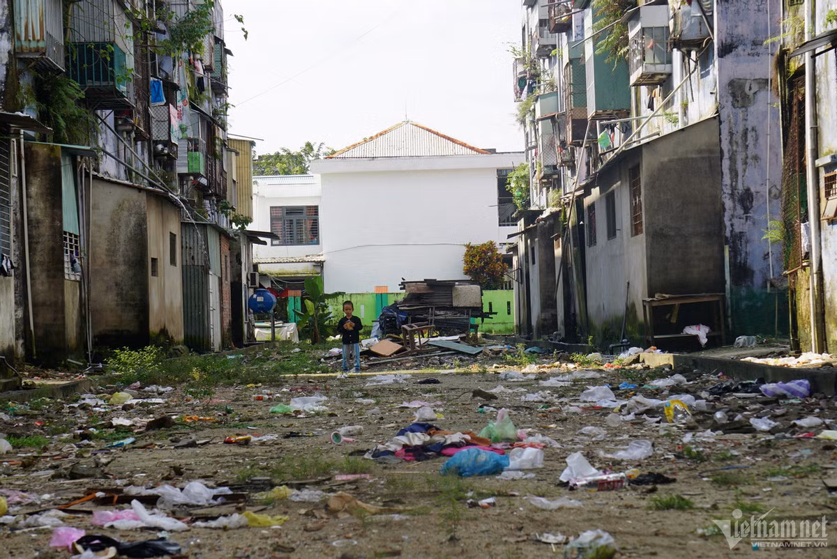 Trẻ em vui chơi giữa khu đất hai tòa chung cư đầy rác, chuột bò và mùi hôi thối.