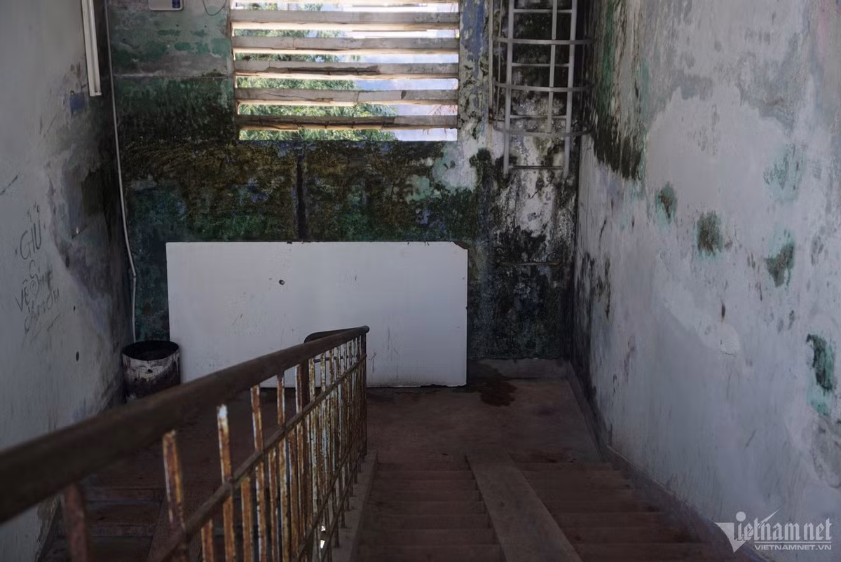 Ông Chinh khẳng định, Đà Nẵng đang kêu gọi đầu tư, khả năng trong năm 2024-2025 sẽ có thêm hai chung cư nhà ở xã hội. TP đang cải tạo khu chung cư sinh viên phía Tây và đã có tờ trình xin ý kiến HĐND chuyển đổi công năng. Trong khi chờ các chung cư kia xây dựng hoàn thành, TP sẽ rà soát lại các chung cư, căn hộ hiện có để bố trí chỗ ở tạm cho khoảng 500 hộ gia đình tại các chung cư xuống cấp trên.