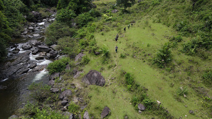 Theo chân “thợ rừng” tìm mật ong đắng, nửa tháng thu trăm triệu Theo chan “tho rung” tim mat ong dang, nua thang thu tram trieu
