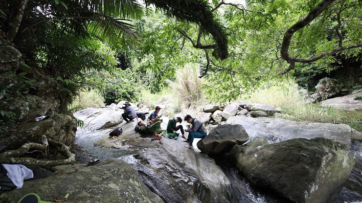 Theo chân “thợ rừng” tìm mật ong đắng, nửa tháng thu trăm triệu - Hình 2 Theo chan “tho rung” tim mat ong dang, nua thang thu tram trieu-Hinh-2