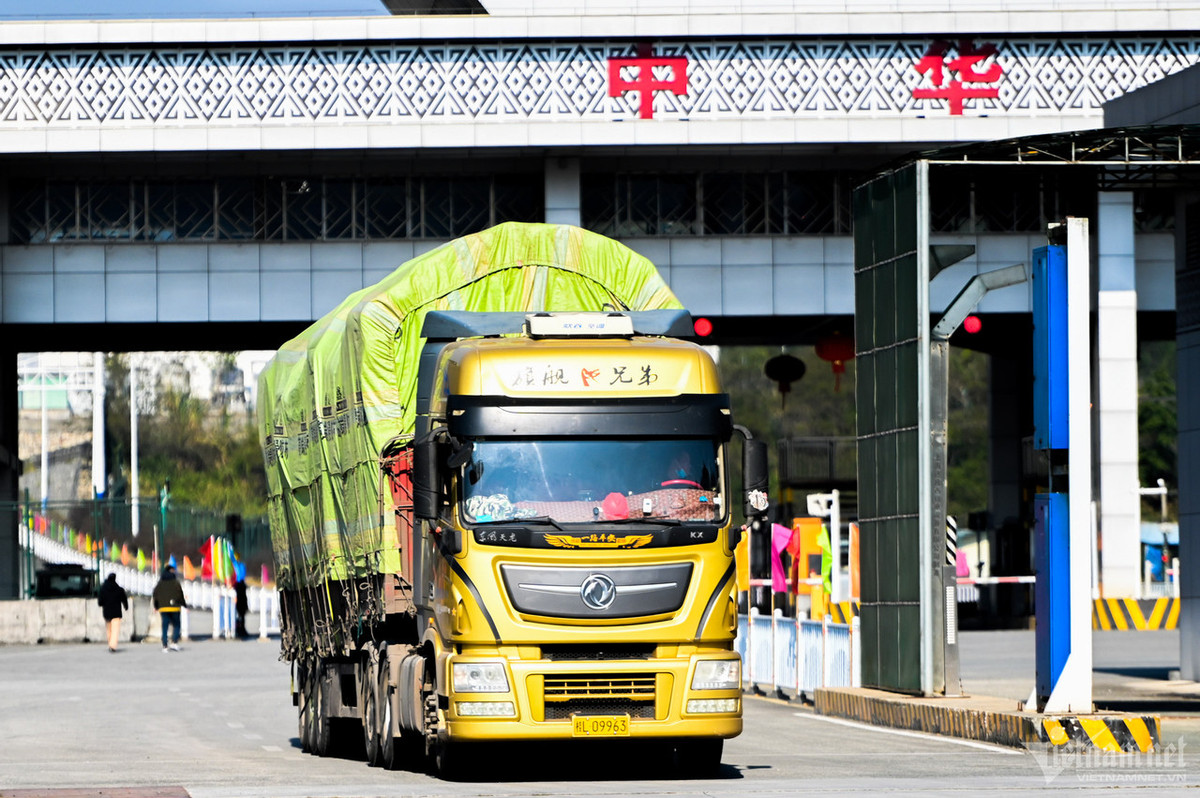 Tra Linh truoc ngay cong bo nang cap len cua khau quoc te-Hinh-2