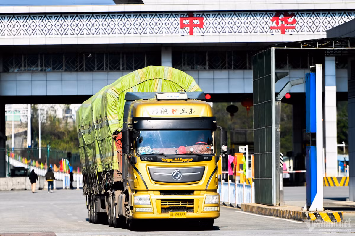 Tra Linh truoc ngay cong bo nang cap len cua khau quoc te-Hinh-2