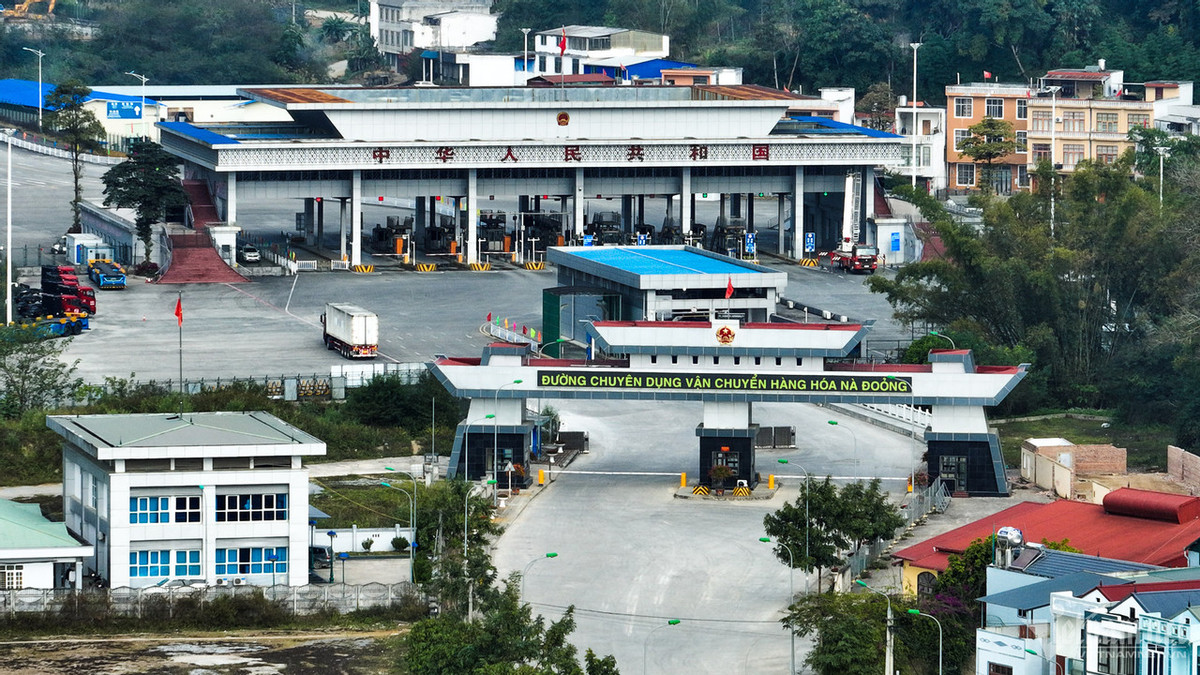 Tra Linh truoc ngay cong bo nang cap len cua khau quoc te