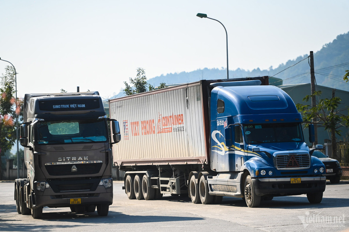 Tra Linh truoc ngay cong bo nang cap len cua khau quoc te-Hinh-14