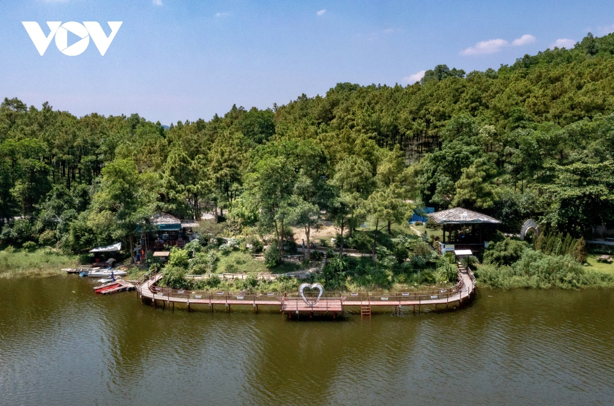 Nắng vàng, thông xanh nơi “Đà Lạt thu nhỏ” giữa lòng Quảng Ninh - Hình 4 Nang vang, thong xanh noi “Da Lat thu nho” giua long Quang Ninh-Hinh-4