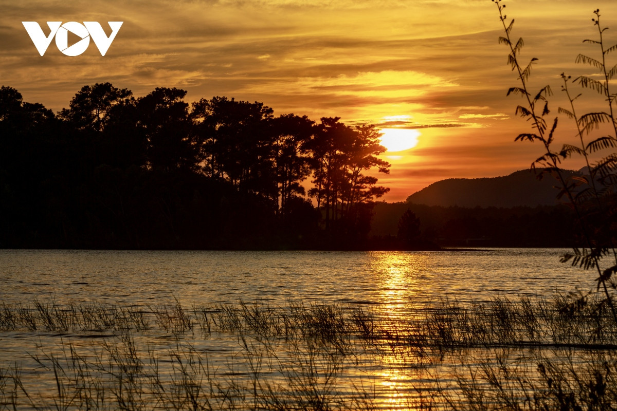Nắng vàng, thông xanh nơi “Đà Lạt thu nhỏ” giữa lòng Quảng Ninh - Hình 17 Nang vang, thong xanh noi “Da Lat thu nho” giua long Quang Ninh-Hinh-17