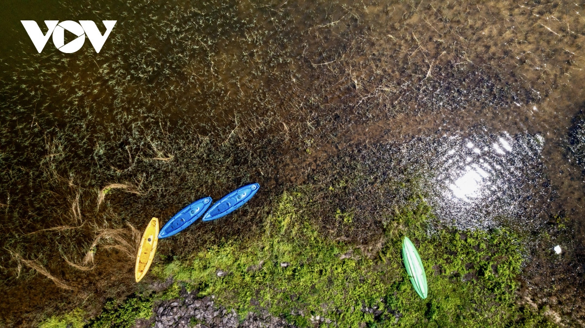 Nắng vàng, thông xanh nơi “Đà Lạt thu nhỏ” giữa lòng Quảng Ninh - Hình 13 Nang vang, thong xanh noi “Da Lat thu nho” giua long Quang Ninh-Hinh-13