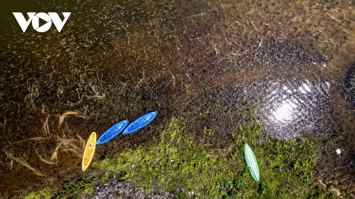 Nang vang, thong xanh noi “Da Lat thu nho” giua long Quang Ninh-Hinh-13