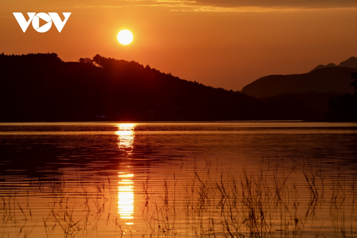 Nắng vàng, thông xanh nơi “Đà Lạt thu nhỏ” giữa lòng Quảng Ninh - Hình 18 Nang vang, thong xanh noi “Da Lat thu nho” giua long Quang Ninh-Hinh-18