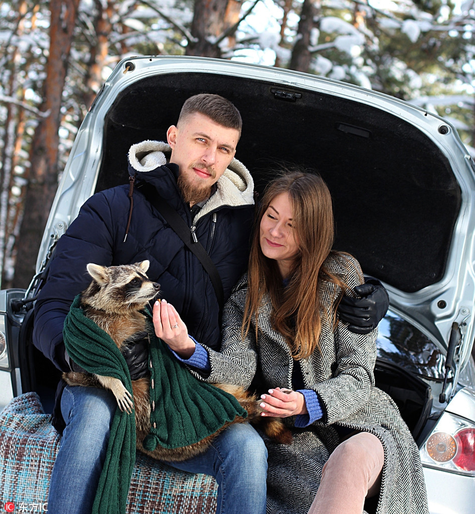 Theo anh Oleg chia sẻ, mặc dù Tama cào rách, cắn thủng ghế sofa, phá hoại nhiều dụng cụ trong nhà, dường như không chuyện xấu nào không làm, nhưng anh và Elena vẫn rất yêu thương con gấu mèo béo ú này.