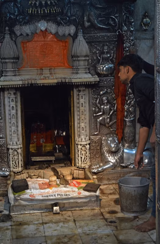 Ky di noi nhung con chuot duoc coi la nu than-Hinh-3