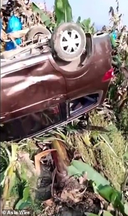 Có lẽ vì khó chịu trong người, tâm trạng lại tồi tệ, con voi hung dữ đã bất chấp, rời khỏi vùng hoang dã, xâm nhập vào khu dân cư và điên cuồng trút giận lên đồ vật, của cải của con người.