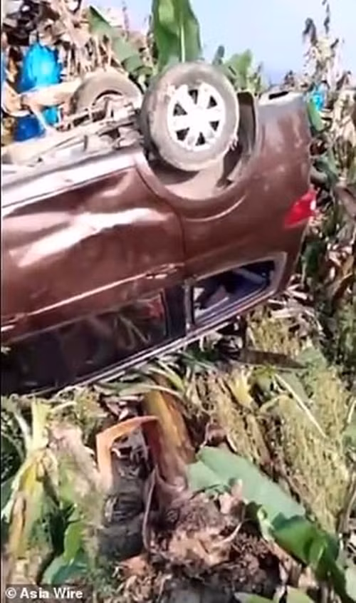 Có lẽ vì khó chịu trong người, tâm trạng lại tồi tệ, con voi hung dữ đã bất chấp, rời khỏi vùng hoang dã, xâm nhập vào khu dân cư và điên cuồng trút giận lên đồ vật, của cải của con người.