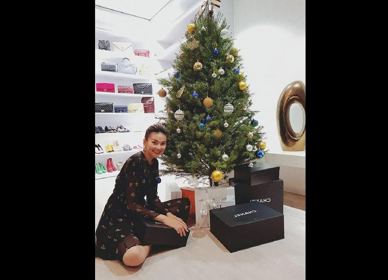 Từ khi ở tuổi 32, Thanh Hằng đã sở hữu ngôi nhà sang trọng trên phố lớn tại Sài Gòn. Ngôi nhà của Thanh Hằng khá đơn giản, không quá cầu kỳ nhưng lại tiện lợi và sang trọng.